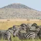 MasaiMara